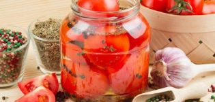 Una receta simple para cocinar tomates de postre con cebolla para el invierno.