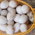 The size of duck eggs and the benefits and harms to the body, is it possible to eat and in what form