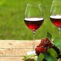 9 enkla steg-för-steg-recept för hur man kan göra röda vinbär hemma