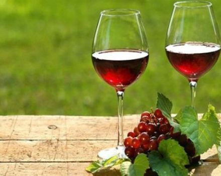 9 εύκολες συνταγές βήμα προς βήμα σχετικά με τον τρόπο παρασκευής κρασιού από κόκκινη σταφίδα στο σπίτι