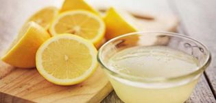 Kokiu santykiu pakeisti actą citrinos rūgštimi konservavimui