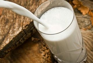 Prečo mlieko voní ako krava, čo robiť a ako odstrániť zápach