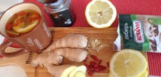 The benefits and harms of ginger for a woman's body, its medicinal properties and contraindications