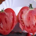 Egenskaper och beskrivning av tomatsorter Kärleksfull hjärta och röd olja hjärta, deras produktivitet