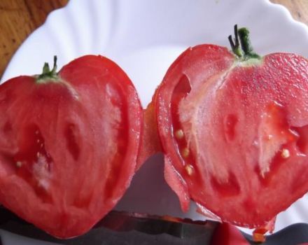 Charakteristika a opis odrôd paradajky Milujúce srdce a srdce z červeného oleja, ich produktivita