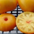 Egenskaper och beskrivning av tomatsorten Mormors kyss, dess utbyte