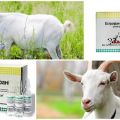 Composition et mode d'emploi d'Estrofana pour les chèvres, posologie et analogues