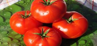 Produktivitet, egenskaper och beskrivning av Alaska-tomatsorten