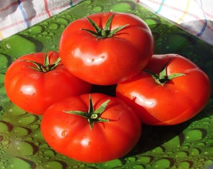 Produktivitet, egenskaper och beskrivning av Alaska-tomatsorten