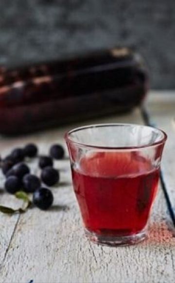TOP 8 einfache Rezepte für die Herstellung von Sloe-Wein zu Hause