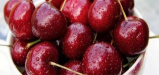 Egenskaper och beskrivning av Vasilisa körsbärsorter, plantering och vård