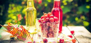 5 migliori ricette per spremere il succo di uva spina in uno spremiagrumi per l'inverno