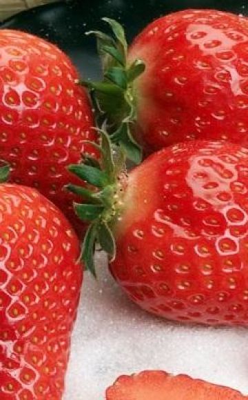 Beschreibung der Gariguetta-Erdbeeren, Pflanz- und Pflegeregeln