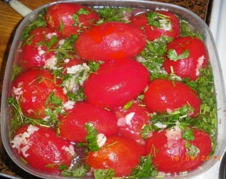 5 bästa tomatomatrecept marinerade med vitlök