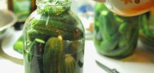 TOP 3 recepten voor gezouten knapperige komkommers voor de winter in potjes op een hete manier