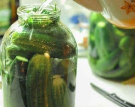 TOP 3 recipes for salted crispy cucumbers for the winter in jars in a hot way