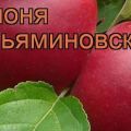 Charakteristika a opis odrody jabĺk Venyaminovskoye, výsadba a starostlivosť