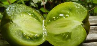 Beschrijving van de tomatenvariëteit Princess Frog en zijn kenmerken