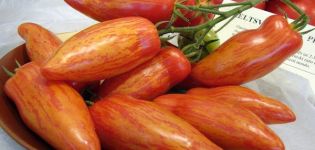 Pomidorų veislės Sherkhan aprašymas ir jos savybės