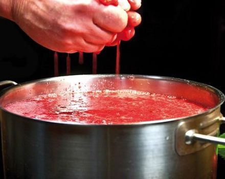 8 công thức nấu rượu dâu tây tự làm từng bước dễ dàng