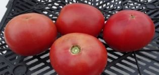 Descrizione della varietà di pomodoro Alesi e delle sue caratteristiche