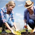 تقويم الزراعة القمري لزراعة البستاني لشهر يونيو 2020