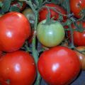 Description of the tomato variety Thick cheeks and its characteristics
