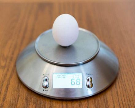 Hur många gram väger och kycklar märkning av ett kycklingägg