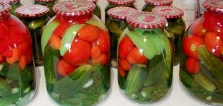 TOP 8 läckra recept för inlagda gurkor med tomater för vintern
