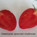 Descrizione della varietà di pomodoro rosso fragola tedesco, le sue caratteristiche e la resa