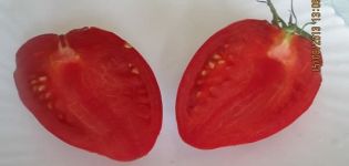 A német vörös eper paradicsomfajtájának leírása, jellemzői és termése