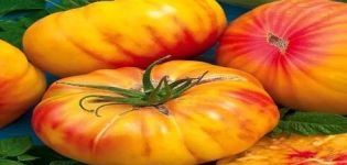 Descripción y características de la variedad de tomate Honey Salute