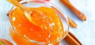 Fyra bästa recept för aprikos och äpplesylt för vintern