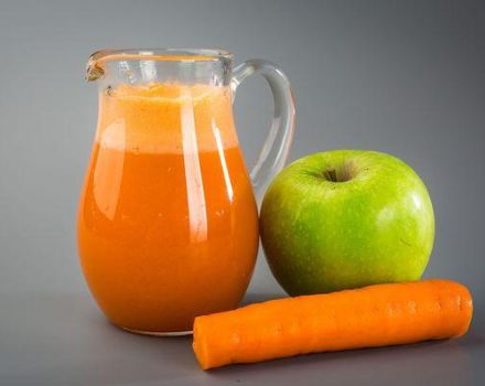 Receta de jugo de manzana y zanahoria para el invierno en casa a través de un exprimidor