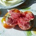 Pomidorų veislės pagrindinis kalibras f1 ir jo charakteristikos aprašymas