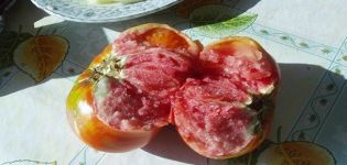 Beskrivning av tomatsorten Huvudkaliber f1 och dess egenskaper