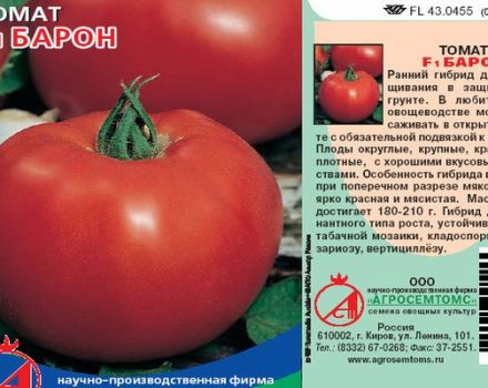 Pomidorų Baron veislės ir jos savybių aprašymas