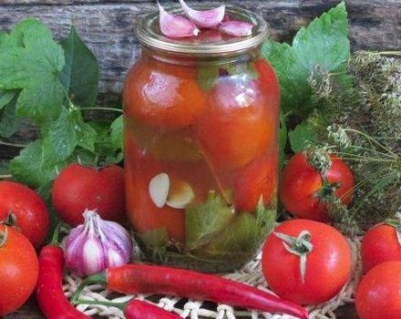 TOP 4 delicious recipes for canned tomatoes with chili ketchup for the winter