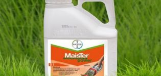 Instruktioner för användning av herbicid Meister Power, sammansättning och konsumtionsgrad