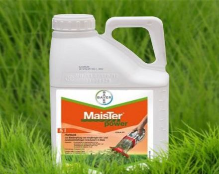 Pokyny pro použití herbicidu Meister Power, složení a spotřeba