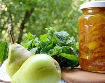TOP 6 recipes for making hard pear jam for the winter
