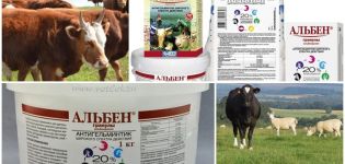 Упутство за употребу и састав Албене за говеда, дозирање и аналоге