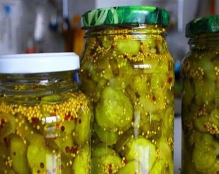 A step-by-step recipe for pickling cucumbers for the winter with French mustard