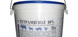 Упутство за употребу Тетрамисола 10 за свиње, контраиндикације и аналози