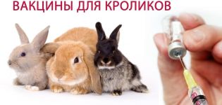 Instructies voor het gebruik van het HBV-vaccin voor konijnen, soorten vaccinaties en doses