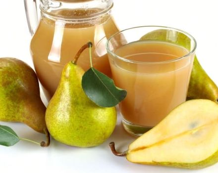 Enkla recept för att tillverka päronjuice genom en juicer, i en juicer och på traditionellt sätt för vintern