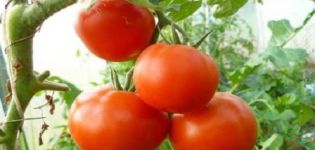 Descripción de la variedad de tomate Vladimir F1, sus características y cultivo.