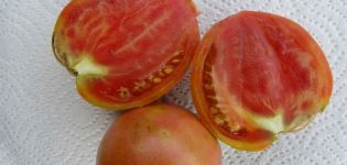 „Miracle Walford“ pomidorų veislės charakteristikos ir aprašymas, derlius