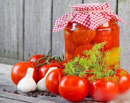 TOP 8 enkla och läckra recept för betning av tomater för vintern på ett sött sätt