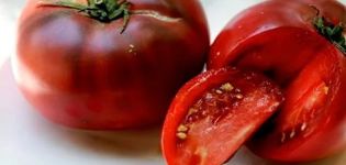 Egenskaper och beskrivning av sortens svartkrim av tomater